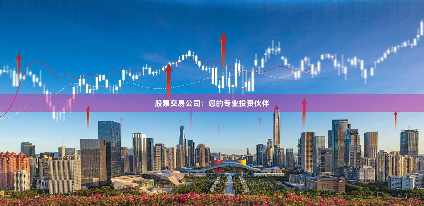 股票交易公司：您的专业投资伙伴